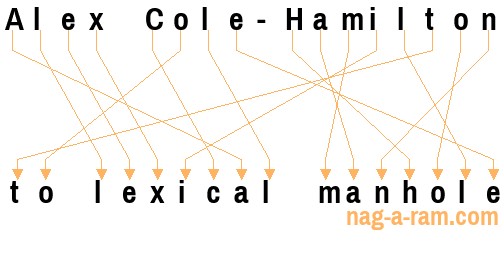 An anagram of 'Alex Cole-Hamilton' is ' to lexical manhole'