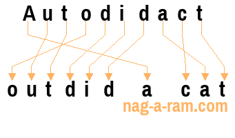 An anagram of 'Autodidact' is 'outdid a cat'