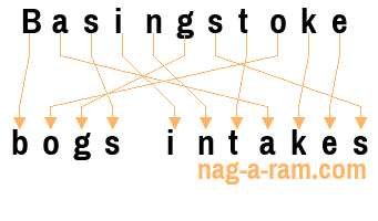 An anagram of 'Basingstoke ' is ' bogs intakes'