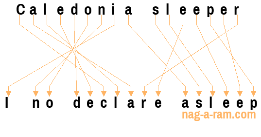 An anagram of 'Caledonia sleeper ' is 'I no declare asleep'