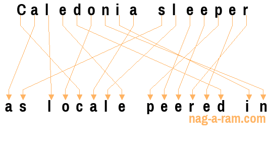 An anagram of 'Caledonia sleeper ' is 'as locale peered in'