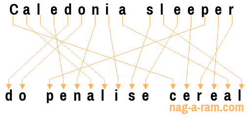 An anagram of 'Caledonia sleeper ' is 'do penalise cereal'