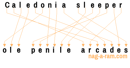 An anagram of 'Caledonia sleeper ' is 'ole penile arcades'