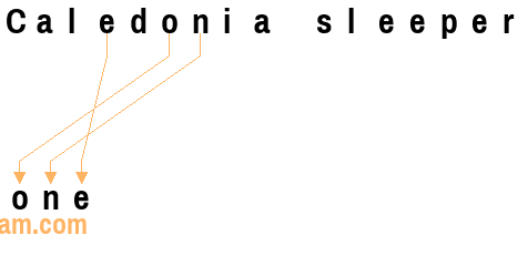 An anagram of 'Caledonia sleeper ' is 'one'