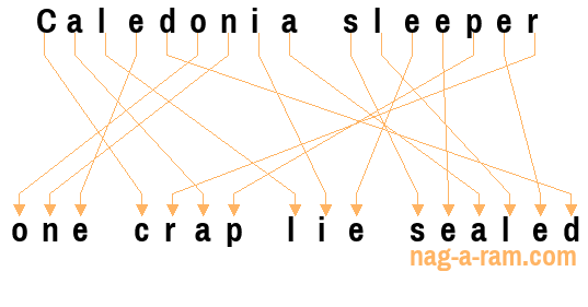 An anagram of 'Caledonia sleeper ' is 'one crap lie sealed'