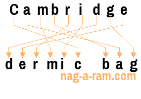 An anagram of 'Cambridge ' is ' dermic bag'