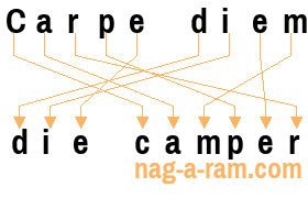 An anagram of 'Carpe diem' is 'die camper'
