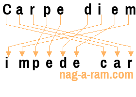 An anagram of 'Carpe diem' is 'impede car'