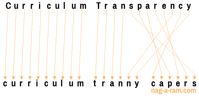 An anagram of 'Curriculum Transparency ' is 'curriculum tranny capers'
