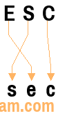 An anagram of 'ESC' is 'sec'