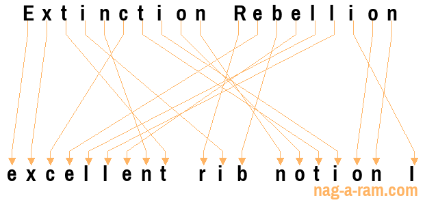 An anagram of 'Extinction Rebellion ' is 'excellent rib notion I'