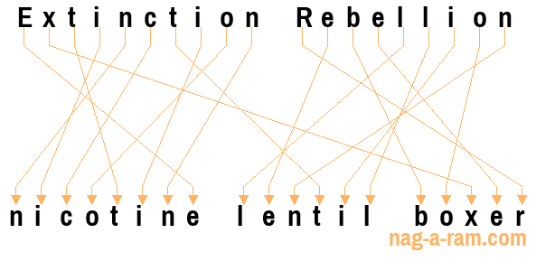 An anagram of 'Extinction Rebellion ' is 'nicotine lentil boxer'