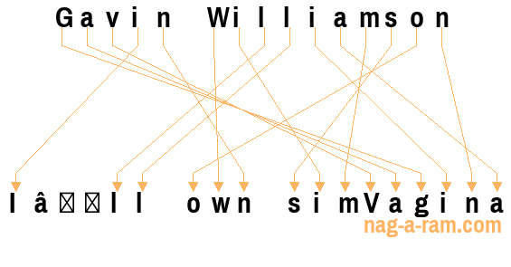 An anagram of 'Gavin Williamson ' is 'I’ll own simVagina'