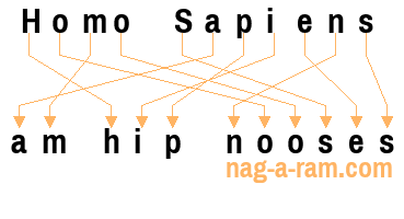 An anagram of 'Homo Sapiens ' is 'am hip nooses'