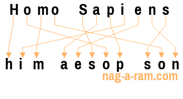 An anagram of 'Homo Sapiens ' is 'him aesop son'