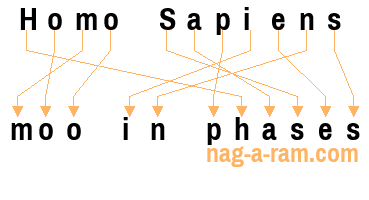 An anagram of 'Homo Sapiens ' is 'moo in phases'