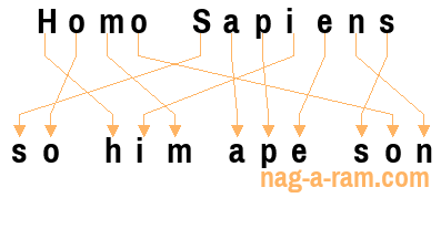 An anagram of 'Homo Sapiens ' is 'so him ape son'