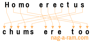 An anagram of 'Homo erectus' is 'chums ere too'