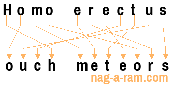 An anagram of 'Homo erectus' is 'ouch meteors'