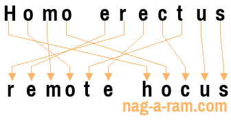 An anagram of 'Homo erectus' is 'remote hocus'