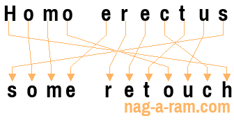 An anagram of 'Homo erectus' is 'some retouch'