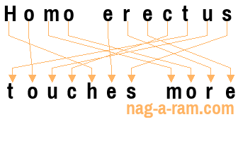 An anagram of 'Homo erectus' is 'touches more'