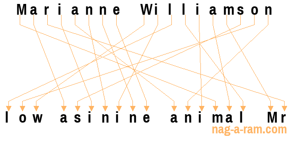 An anagram of 'Marianne Williamson ' is 'low asinine animal Mr'