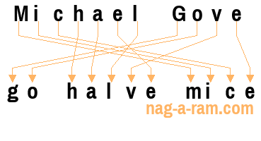 An anagram of 'Michael Gove' is 'go halve mice'