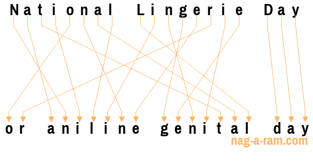 An anagram of 'National Lingerie Day' is ' or aniline genital day'