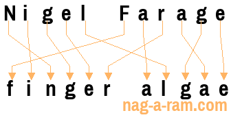 An anagram of 'Nigel Farage' is 'finger algae'