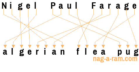An anagram of 'Nigel Paul Farage' is 'algerian flea pug'