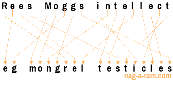 An anagram of 'Rees Moggs intellect ' is 'eg mongrel testicles'