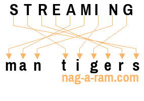 An anagram of 'STREAMING ' is 'man tigers'