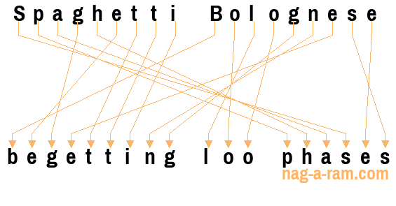 An anagram of 'Spaghetti Bolognese ' is 'begetting loo phases'