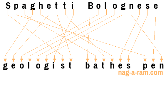 An anagram of 'Spaghetti Bolognese ' is 'geologist bathes pen'