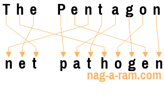 An anagram of 'The Pentagon ' is 'net pathogen'