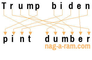 An anagram of 'Trump biden' is 'pint dumber'