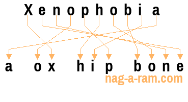 An anagram of 'Xenophobia ' is 'a ox hip bone'