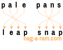 An anagram of 'pale pans' is 'leap snap'