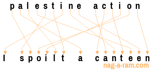 An anagram of 'palestine action' is 'I spoilt a canteen'