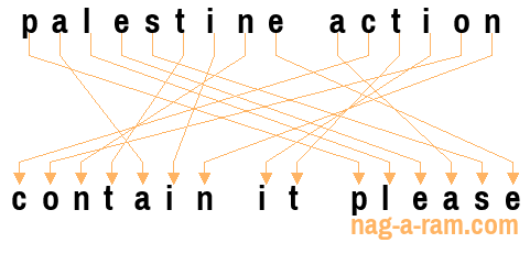 An anagram of 'palestine action' is 'contain it please'