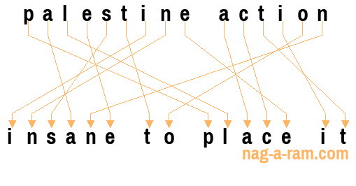 An anagram of 'palestine action' is 'insane to place it'