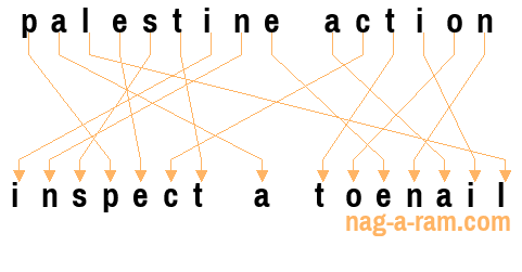 An anagram of 'palestine action' is 'inspect a toenail'