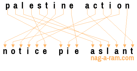 An anagram of 'palestine action' is 'notice pie aslant'