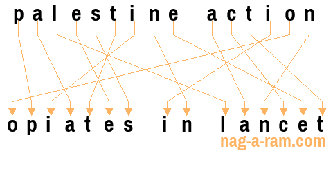 An anagram of 'palestine action' is 'opiates in lancet'