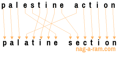 An anagram of 'palestine action' is 'palatine section'