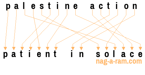 An anagram of 'palestine action' is 'patient in solace'