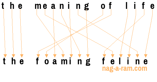 An anagram of 'the meaning of life' is 'the foaming feline'